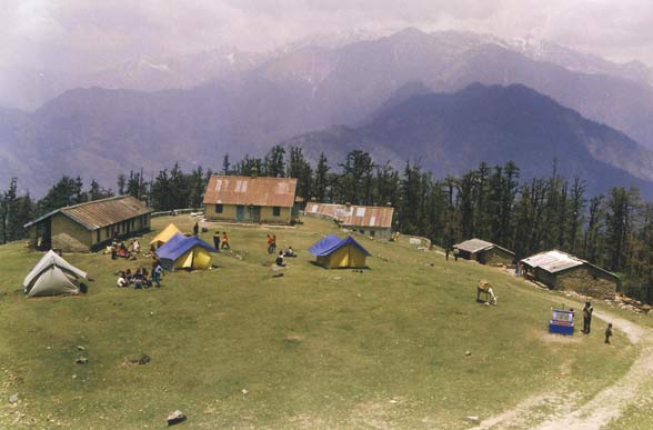 Dhakuri Meadows