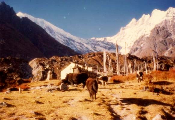 langtang